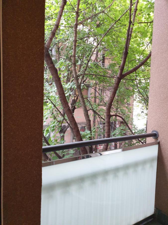 Metropol Lux Apartment Belgrade Vracar Exterior foto